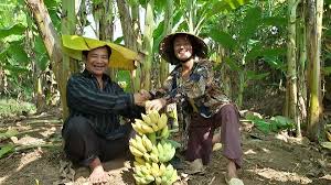 Ông ho ra máu, bất tỉnh khi đang trên đường từ hải dương về. Chuyá»‡n Ä'á»i Chuyá»‡n Nghá» Cá»§a Quang Teo