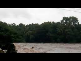 Image result for kerla flood