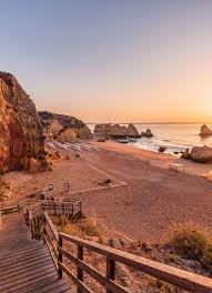 Image result for Faroa duvigneaud