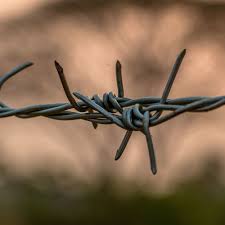 Find here barbed wires, barbed wire fencing manufacturers, suppliers & exporters in india. Barbed Wire Fencing In Crowley And Fort Worth Tx