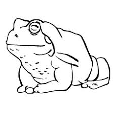 Frog coloring page free to print. 25 Delightful Frog Coloring Pages For Your Little Ones
