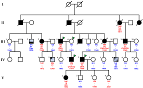 pedigree of the family showing diabetes status of each