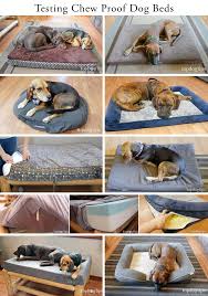 K9 ballistics armored dog crate pad chew proof dog bed, chew resistant indestructible dog cot, large, medium, small sizes for dogs who chew their beds, waterproof with aluminum frame 47 x 29, black 171 $159 00 ($159.00/count) 6 Most Chew Resistant Dog Beds 2020 Kuranda Vs K9 Ballistics Vs Other
