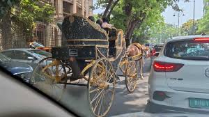 PETA India Complaint ...