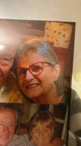 Does anyone know of any local labradoodle or labrador breeders pls