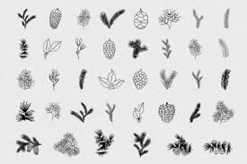 Set of vector handdrawn laurels and wreaths. Hand Drawn Wreaths Frames And Branches Graphic By Kirill S Workshop Creative Fabrica Wreath Drawing How To Draw Hands Original Hand Drawn