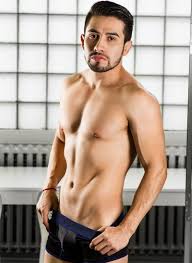 Gay porn star William Seed - Ulisex!Mgzn