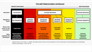 Self Determination Theory Diagram Intrinsic Motivation Motivation Theory Self Determination