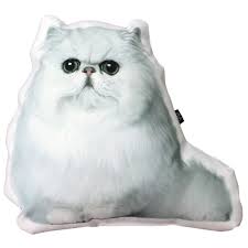 Misty Beyaz Iran Kedisi Sekilli Yastik Kedi Severlerin Evlerinde Koltuklarinda Kendine Yer Acacak Bir Yastik Tasarimi Sanki K Kedi Yastiklar Scottish Fold