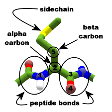 You can also keep your bones healthy by exercising. Protein Backbone Foldit Wiki Fandom