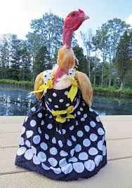 Chicken Clothes Chicken Clothes Halloween Costume Chicken Pet Chickens Find professional funny chicken videos and stock footage available for license in film, television, advertising and corporate uses. chicken clothes halloween costume