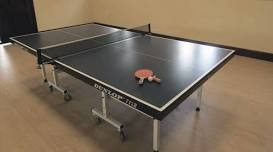 Rainton Table Tennis Club