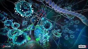 Incell _ lithium ion battery_ energy storage system_ess. Review Incell Is A Vr Racer That Puts You Inside The Microscopic World Of A Cell Road To Vr