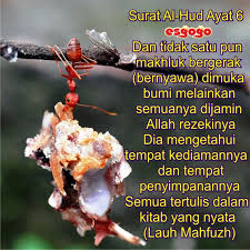 Surat ini dinamai surat huud karena ada hubungan dengan terdapatnya kisah nabi huud a.s. Jaminan Rezeki Halaman All Kompasiana Com