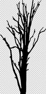 Browse png by category browse by category. Woody Plant Tree Silhouette Png Clipart Artwork Black And White Branch Clip Art Dead Tree Free