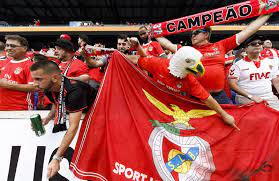 Veja aqui em que canal pode ver o jogo de portugal hoje. Benfica Tem Expectativas Elevadas Para Jogo De Hoje Contra Ac Milao Desporto Sapo 24