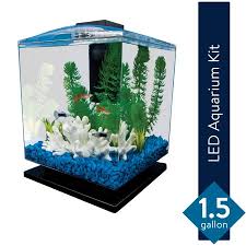 Maybe you would like to learn more about one of these? Tetra 1 5 Gallon Cube Aquarium Starter Kit Walmart Com Walmart Com