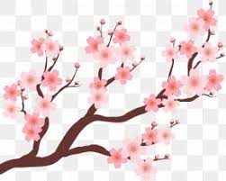 Cherry blossom tree png vector, transparent png. Cherry Tree Images Cherry Tree Transparent Png Free Download