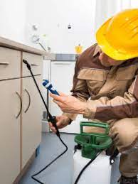 These services aim at dealing with the different pests that might affect your household in the different seasons. Bug Bully Pest Control Pest Control Services Texas B O B Directory
