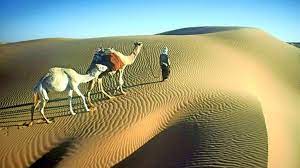 Annette stav johanssen (vocals, synth) tommi damstuen (drums), tobias eide (moog) human condition, released 05 september 2019. Mers Das Virus Lauert Im Dromedar Wissen Stuttgarter Zeitung