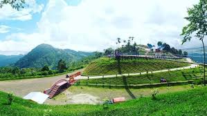 Untuk lebih menyelusuri tempat wisata di pinrang, anda harus mengunjungi rumat adat yang unik satu ini. Menikmati Sejuknya Pagi Di Puncak Karomba Regional Liputan6 Com