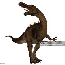 Image result for Suchomimus