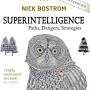Superintelligence from www.amazon.com