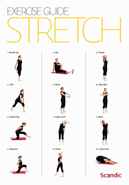 Chair Exercises For Seniors Pdf Lovely Therabanda Upper Body Exercises Back Shoulders Arms The Goa Exercise Upper Body Workout Back Strengthening Exercises