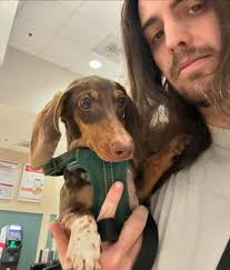 Cole (@avante_bass) • Instagram photos and videos