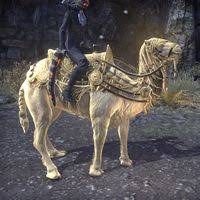 However, successfully making those big scores will depend on your ability and finesse when to comes to pickpocketing your unsuspected target. Online Mounts Camelids The Unofficial Elder Scrolls Pages Uesp