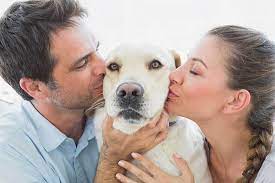 Do Dogs Like Kisses And What Do Kisses Mean To Them