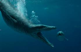 Sir David Attenborough talks about unearthing one of the biggest  carnivorous creatures the world has ever seen - Discover Wildlife