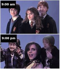 Right After University Funnymemes Memes Omg Topfunny Memes Divertidos De Harry Potter Elenco De Harry Potter Harry Potter Hermione