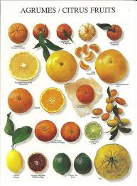 Winter Superfoods List Positivemed Citrus Fruit Fresh Fruit Recipes Fruit