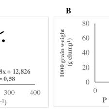 Examples of translating «langsung» in context Pdf Improving Rice Plant Using Si Materials On P And Si Uptake Growth And Production In Ultisols
