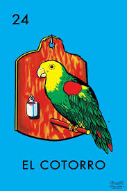 You only need one printable per craft. 24 El Cotorro Parakeet Loteria Card Mexican Bingo Lottery Stretched Canvas Wall Art 16x24 Inch Poster Foundry