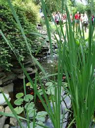 A small fountain generally has a reservoir that holds 10 gallons or less. Garden Pond Wikipedia