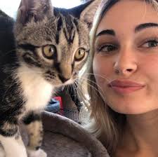 My rose plant is not blooming .. suggest something..