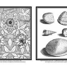 Everyone can benefit from coloring. Get Free Coloring Books From Major Libraries And Museums Curbed