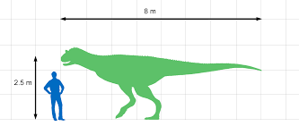 File Carnotaurus Size Chart Png Wikimedia Commons