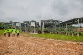 Such providers also supply company. Projects Eco Seido