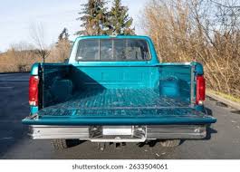 Image result for Bright Blue 1995 Truck