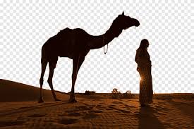 In the late 1840s, a group of junior army officers engaged in protecting the united states' people watched entranced as the obedient beasts kneeled and rose on command. Desert Camel Silhouette Team Arab Building Png Pngegg