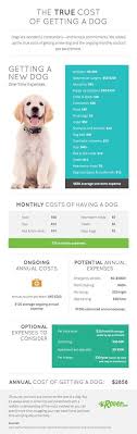 The True Cost Of Owning A Dog Proud Dog Mom