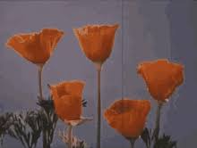 We did not find results for: Animated Flowers Blooming Gif Gifs Tenor