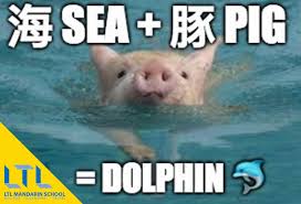 Sea Pig Memes Sea Pig Chinese