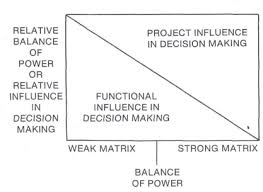 The Matrix Organization