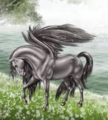 Image result for horse pictures thoroughbred stories howrse