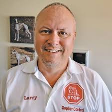 Differentiating your company and services