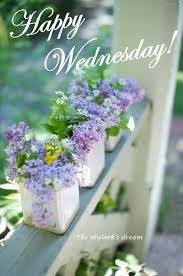 Funny wednesday memes wednesday morning quotes wednesday greetings good morning wednesday are you looking for the best good morning wednesday images? 240 Wednesday Ideas Wednesday Quotes Happy Wednesday Quotes Wednesday